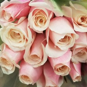 Mirror and Panels Decor🌹